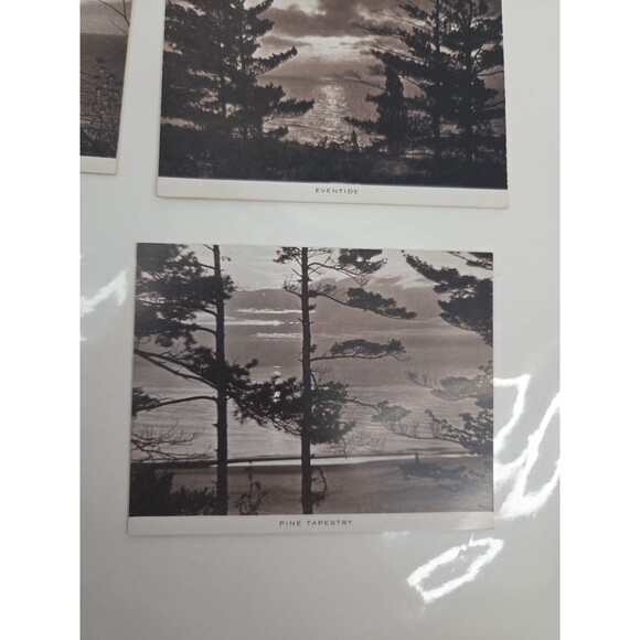 Ephemera Memorabilia Lake Michigan Chicago Area Postcard Mail Pack w Stamp 1940s - Picture 9 of 16